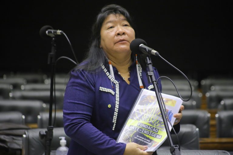Câmara aprova comissão externa para acompanhar desaparecimento de jornalista e indigenista